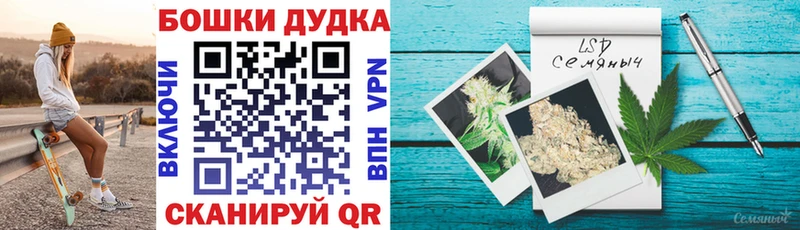 Купить где  Заинск  Конопля марихуана 